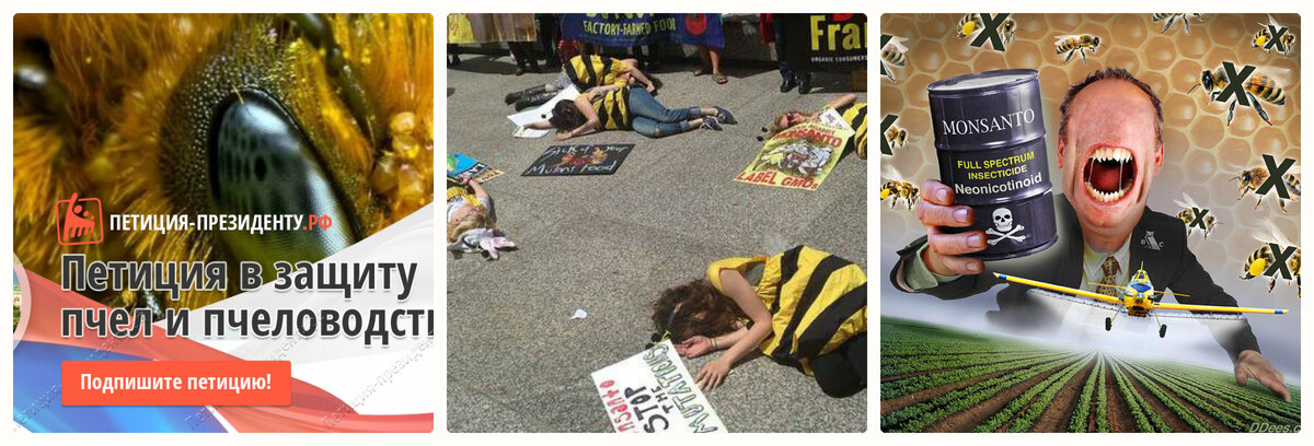 Попытки повлиять на ситуацию