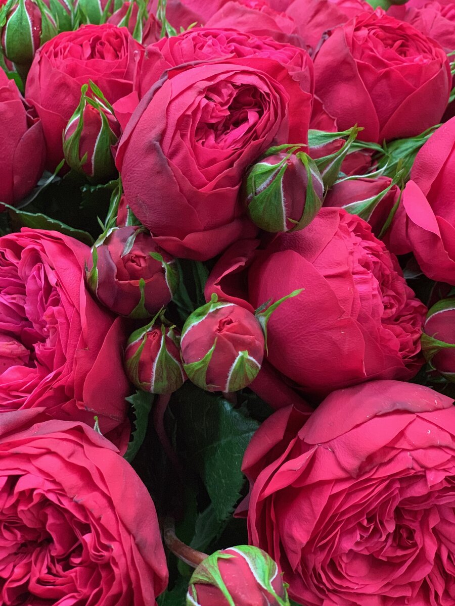 Используется фотография из открытого источника интернета