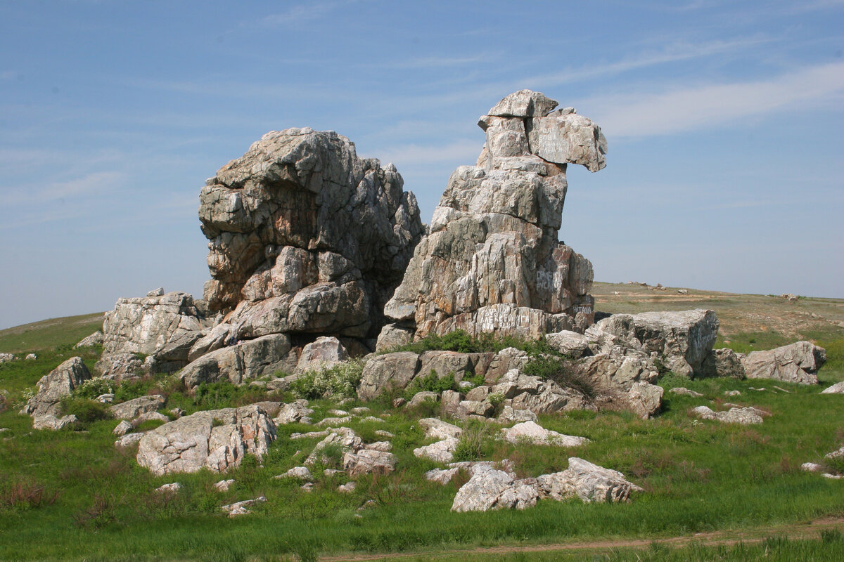 Верблюд гора картинки