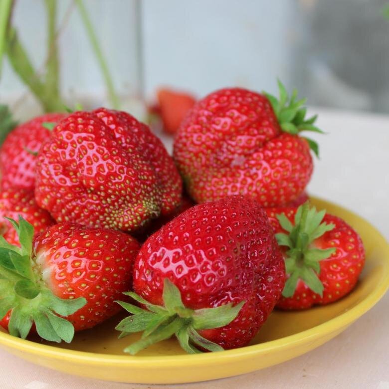 Королева Елизавета 2