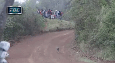 Материал взят с сайта https://gifer.com