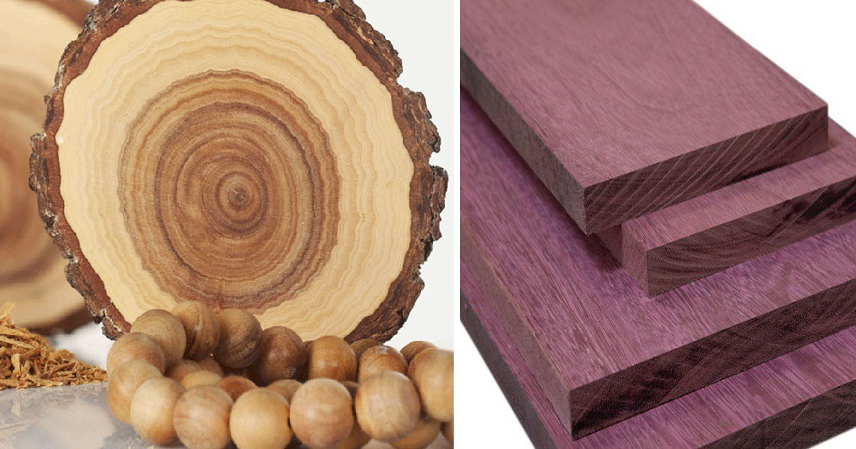 Ценные и редкие породы дерева с незапамятных времен считаются королевским материалом и придают особый лоск всему, что из них изготовлено. Прежде любая мебель делалась именно из дерева и украшалась резьбой. Вот список десяти самых дорогих в мире видов древесины, которые сотни лет используются для производства настоящих произведений искусства.  

Этот редкий вид древесины - один из самых редких, идет, как правило, на изготовление музыкальных инструментов. К сожалению, в настоящее время эти деревья, растущие в засушливых районах Африки, относятся к исчезающим видам...  Эбеновое дерево – 10 000 долларов за килограмм