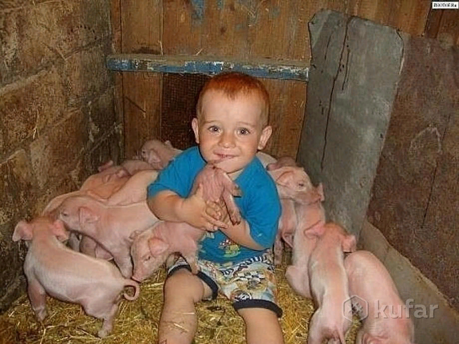 Фото из интернета.