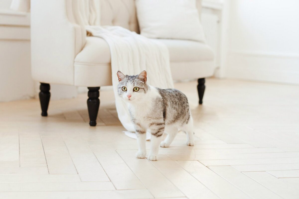 Взгляд как у настоящей охотницы