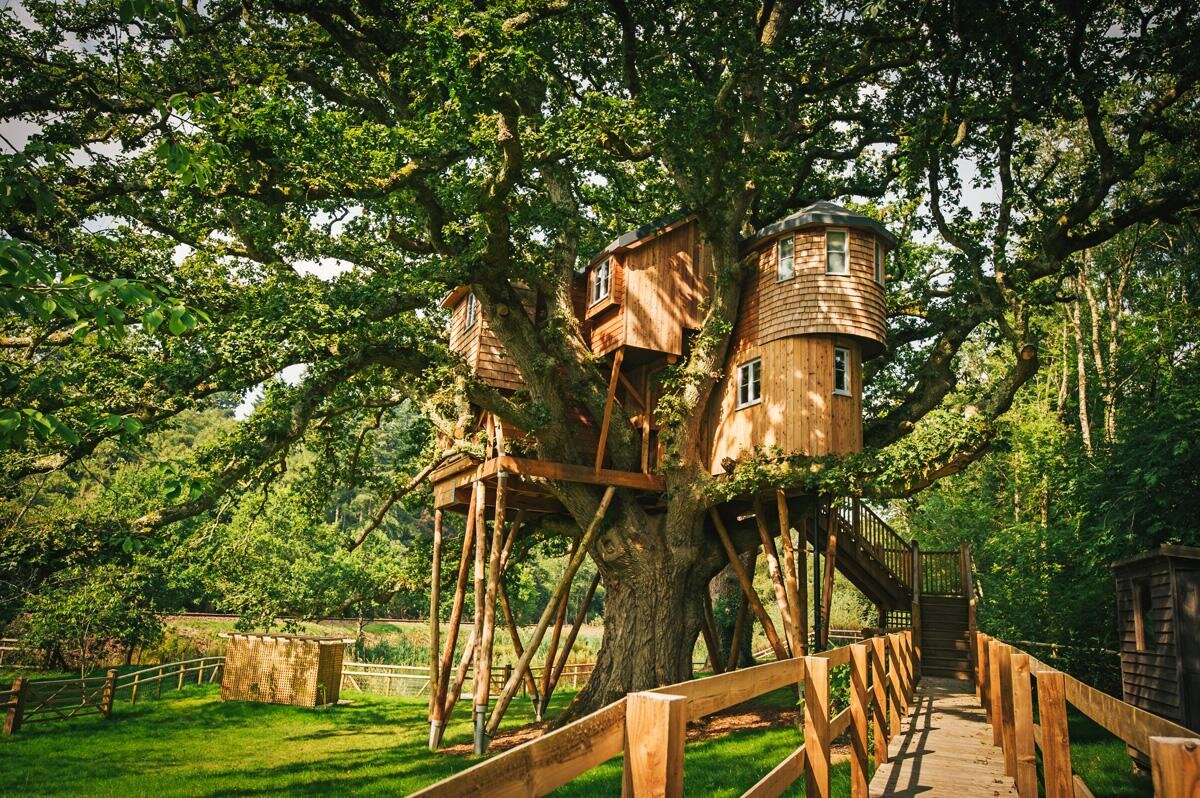 Сделай фото дерева. Hobbit Treehouse, США. Алникский дом на дереве. Treehouse домик на дереве. «Дом на дереве» поселение Московский.