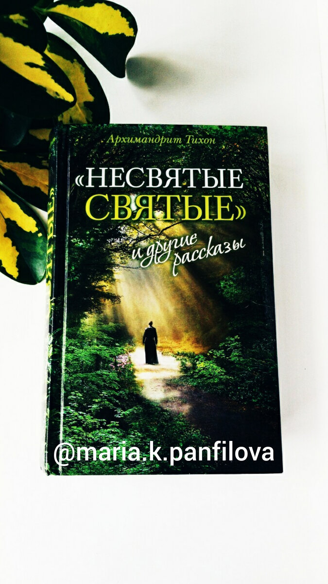 «НЕСВЯТЫЕ СВЯТЫЕ» архимандрита Тихона.