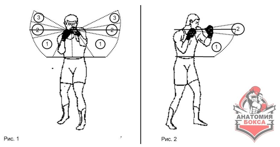 Техника бокса: 10 лучших комбинаций &# dobroheart.ru