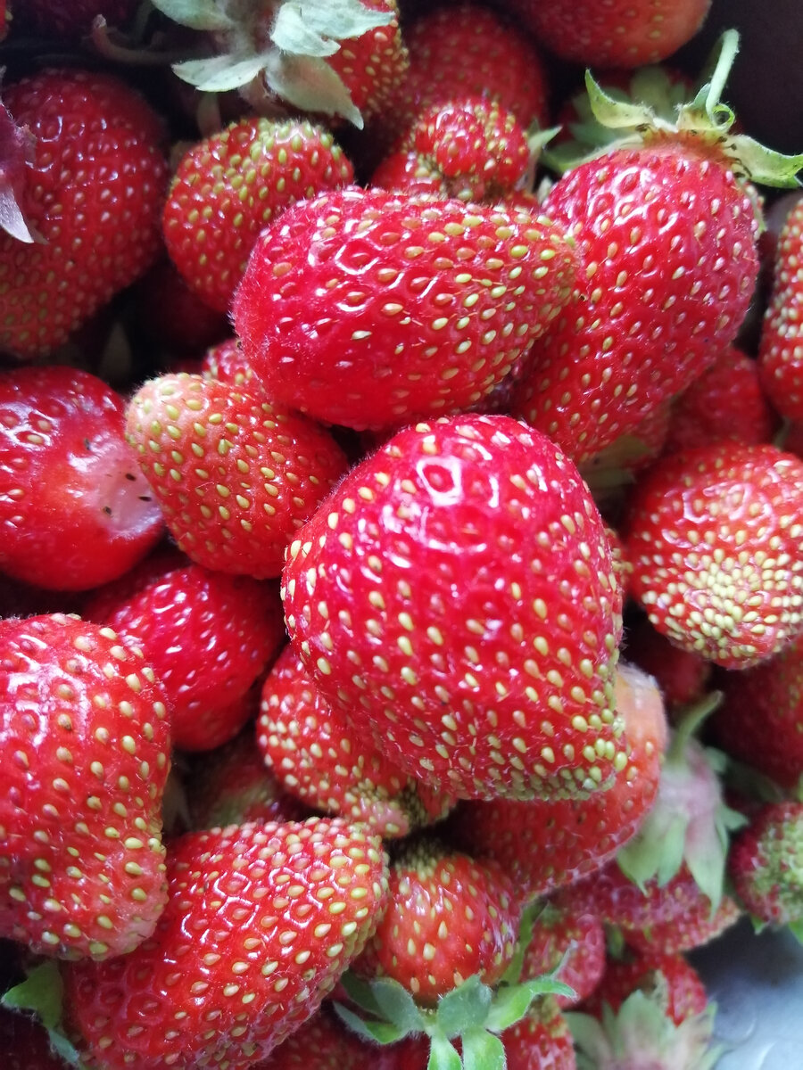 Отгадай. Какая моя самая любимая ягода? 