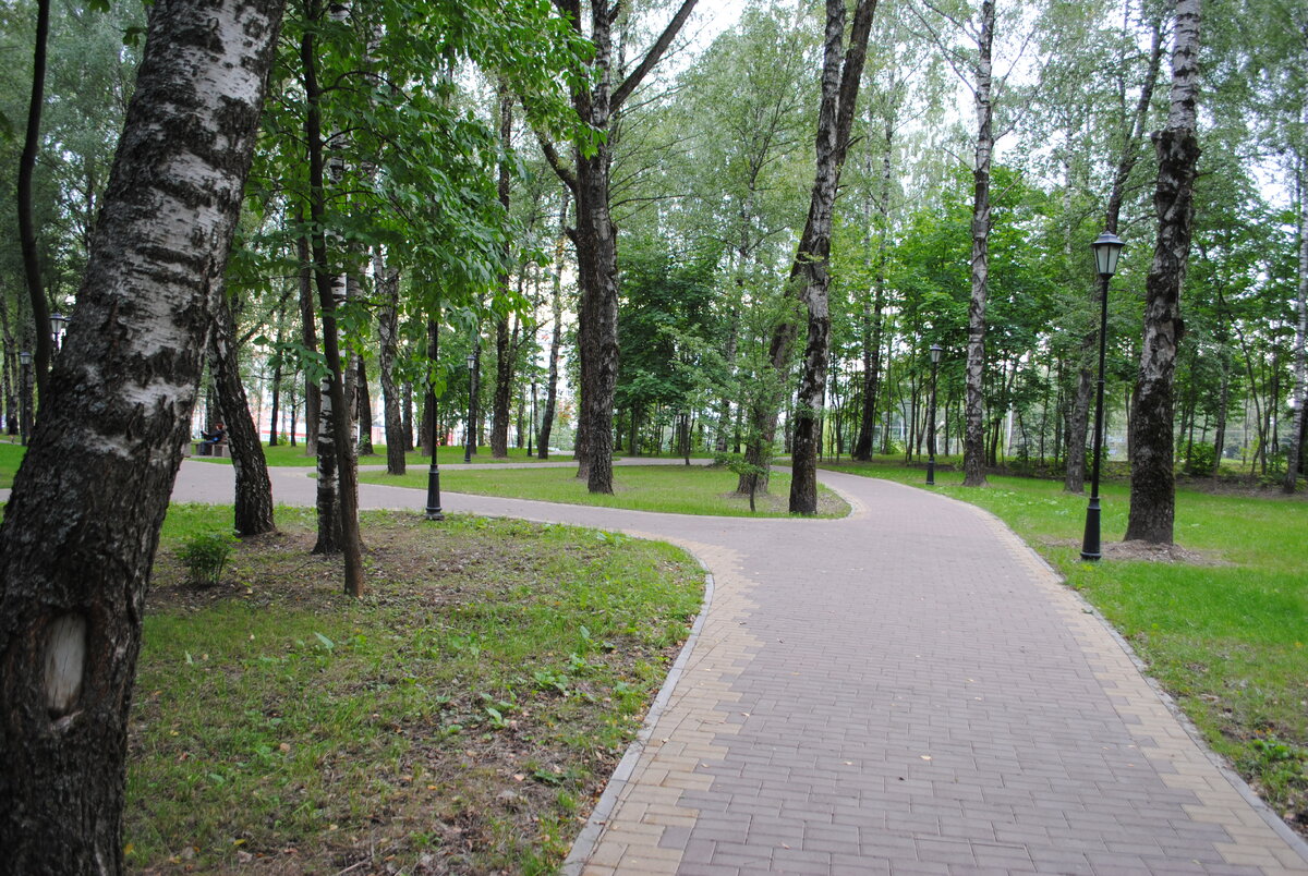 Парк соловьиная роща в смоленске