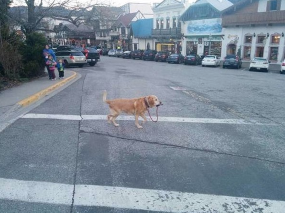 Вильгельмштрассе, Берлин, Германия