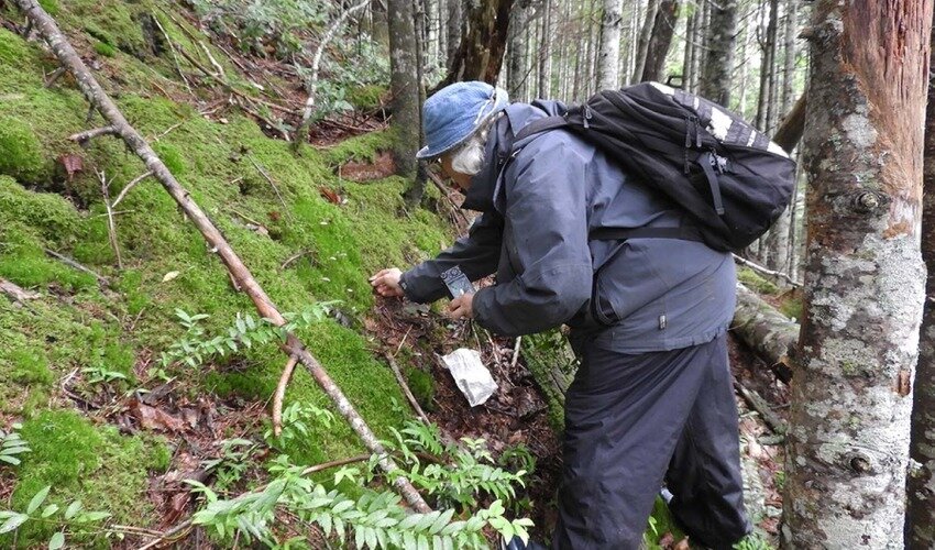 Фото с сайта заповедника «Курильский»