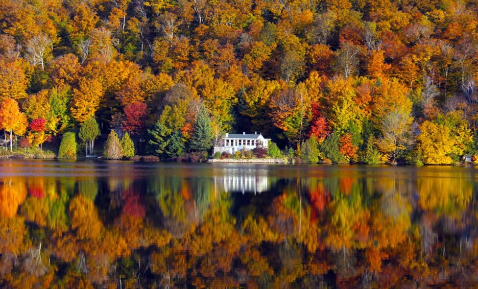 Красавица осень (фото из интернета)