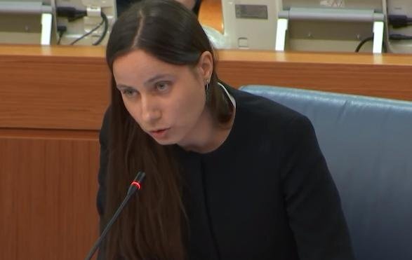 Елена Янчук предлагает создать в Мосгордуме рабочую группу по вопросу электронного голосования. Источник: YouTube. 