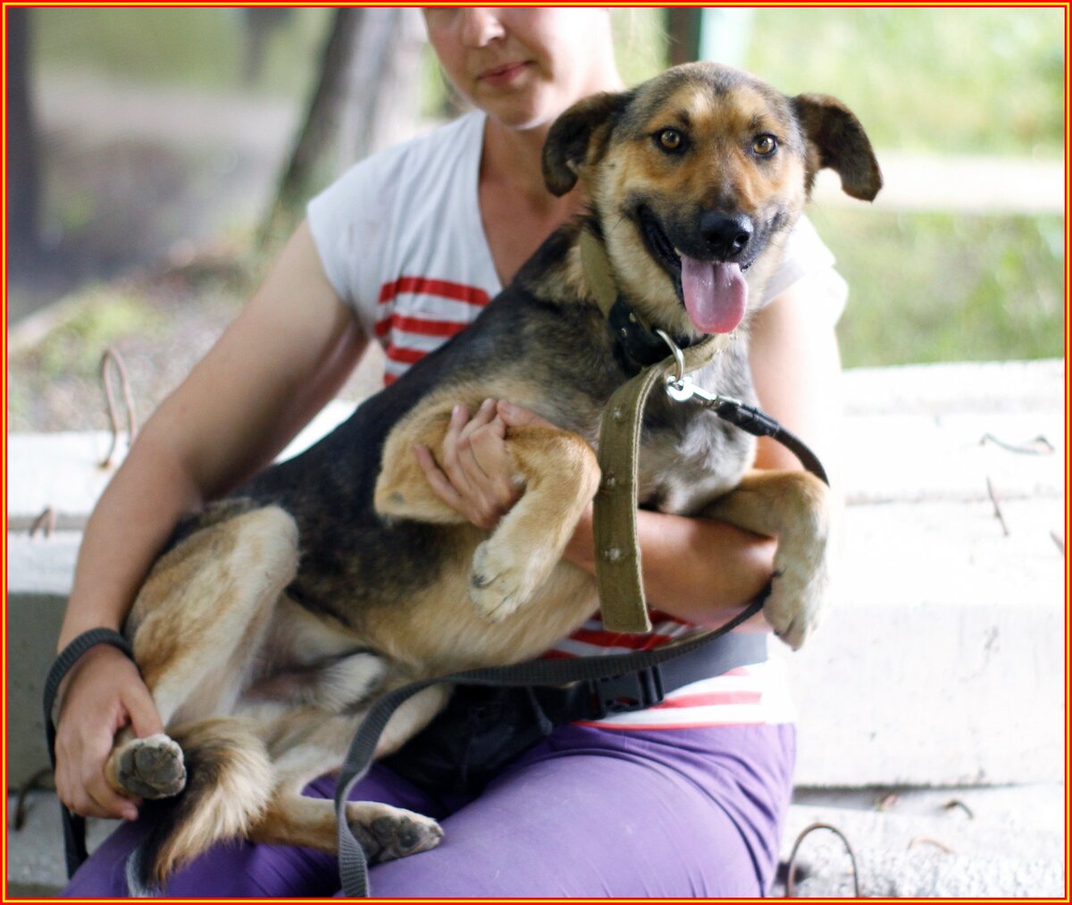 Фото из приюта "Лучший друг" г. Ставрополь