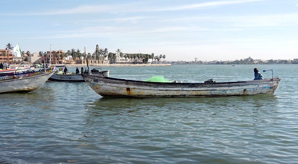 https://cdn.pixabay.com/photo/2019/02/05/08/53/senegal-3976415_960_720.jpg