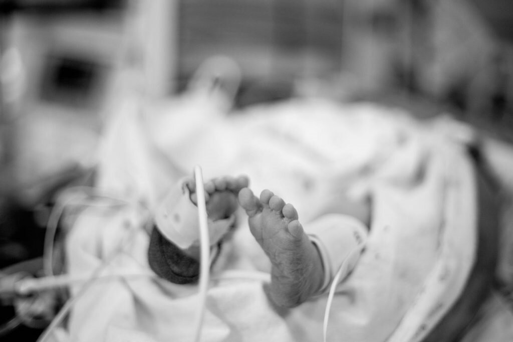 Фото: pxhere.com