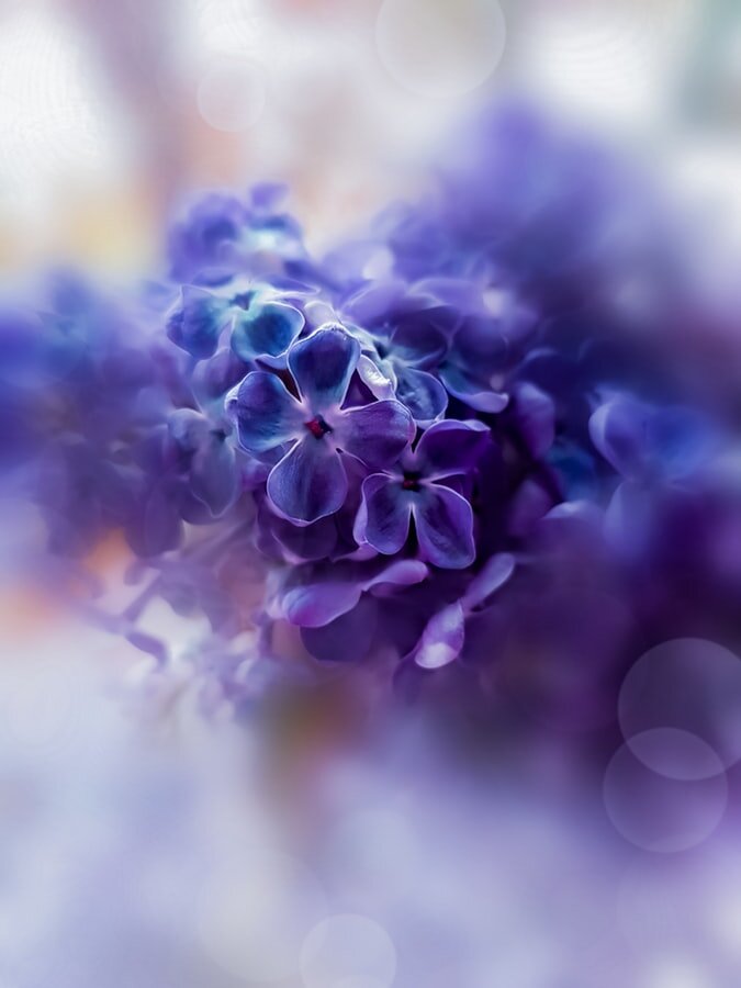 https://images.unsplash.com/photo-1556823179-565c738a2e2b?ixlib=rb-1.2.1&auto=format&fit=crop&w=675&q=80