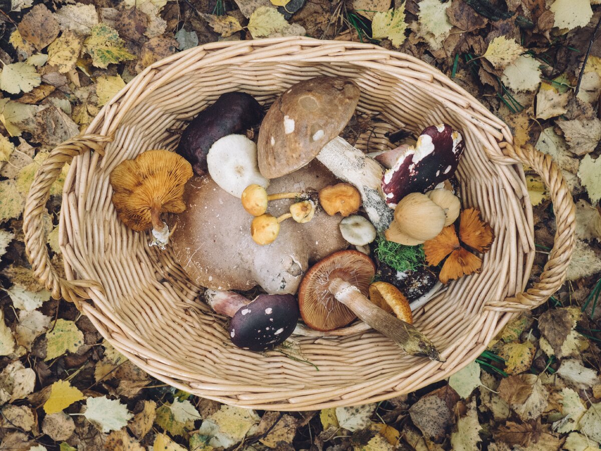 https://unsplash.com/photos/6KCS---7jbc