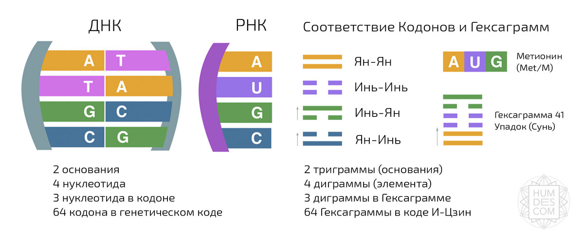 гексаграмма пи. толкование гексаграмм. гексаграмма 13.