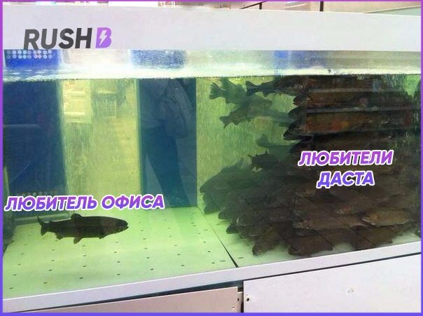 Много ли тут любителей cs_office?