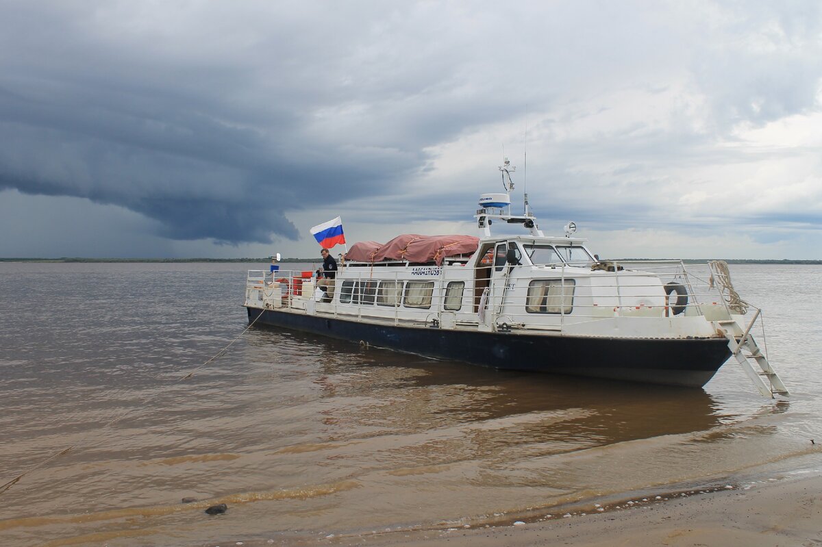 Кречет и суровый северный климат во всей красе