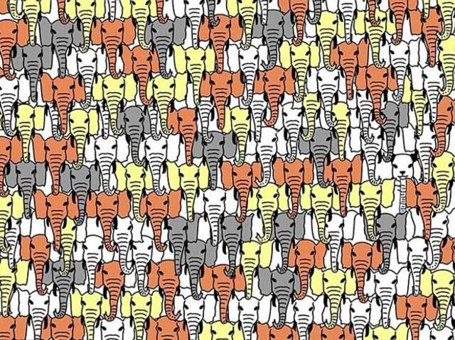 Тесты на внимательность: большая подборка! | Психология и медицина | Дзен