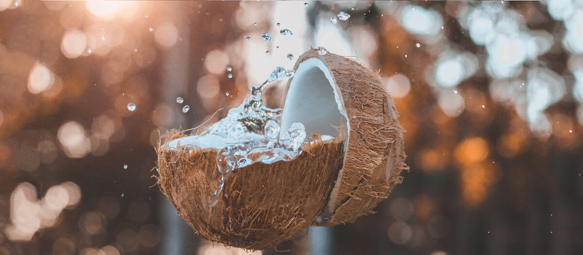 Обладая бактерицидным свойством, кокос не гниет ни при какой влажности, сохраняя в течение десятков лет свою упругость и эластичность