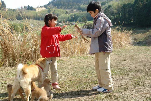 История мари и трех щенков. Мари и трое щенков. История мари собаки. Марии и 3 щенка. История мари и трех щенков.