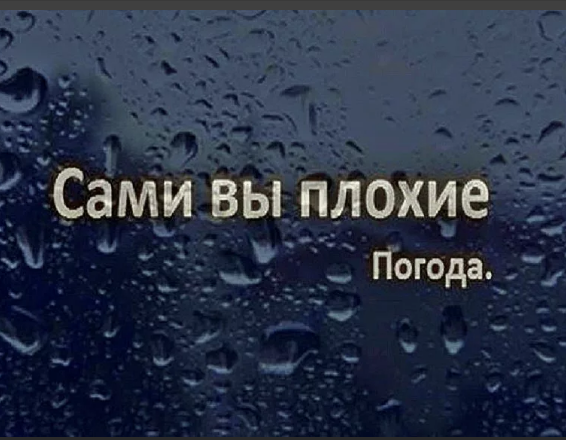 "А мне всегда чего-то не хватает: зимою-лета, осенью- весны."       (картинка из forum.astrakhan.ru)