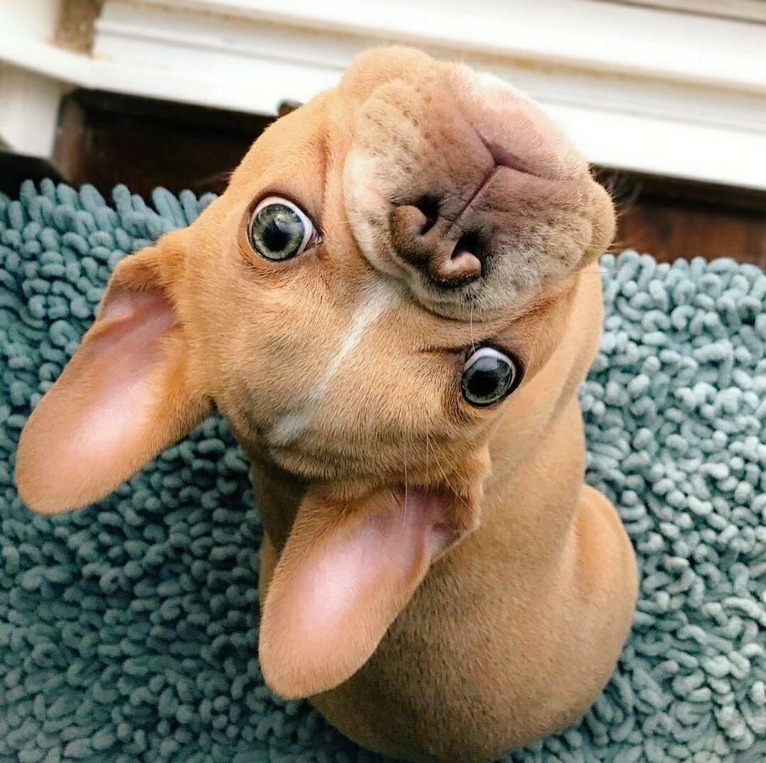 Фото взято из открытого источника Яндекс.картинки