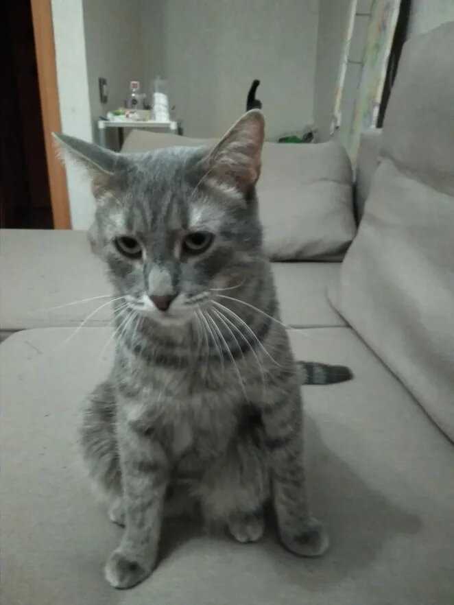 Фото из личного архива (я задумался)