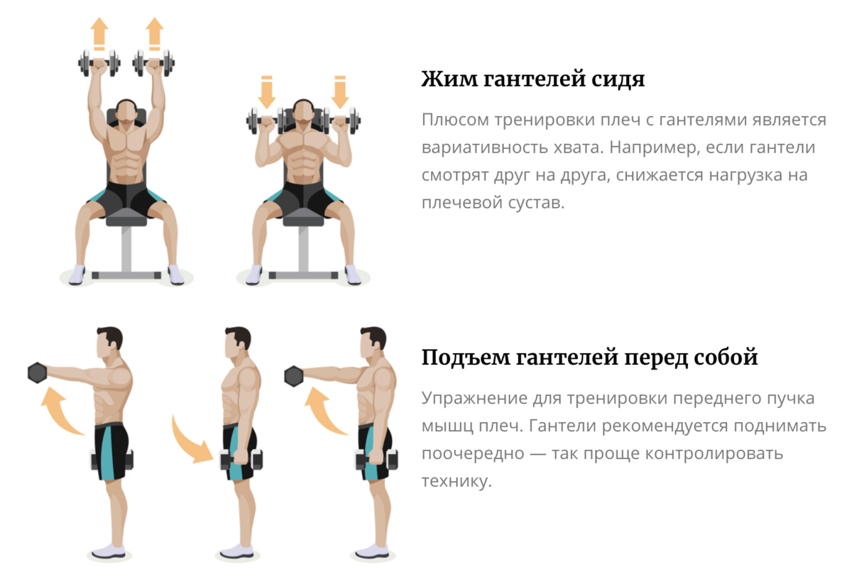 Как правильно качать плечи? Программа лучших упражнений c гантелями |  Фитсевен | Дзен