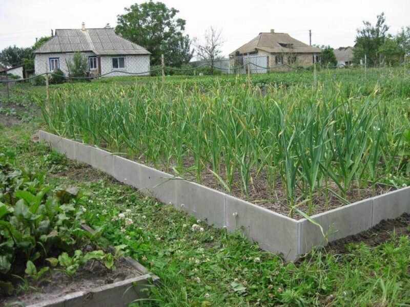    				Потребуется меньше физических усилий на ручную прополку, перекопку, мульчирование, подкормку и другие работы 				