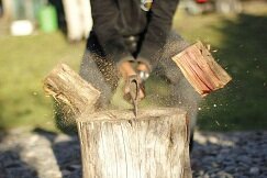 Фото из открытого источника