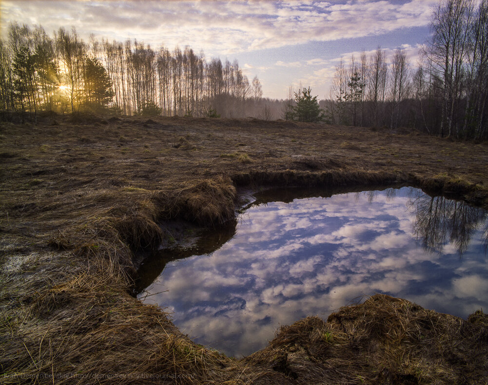 Красота плёночной фотографии. Подборка слайдов №4