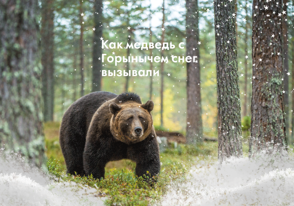 Глава 1. Лес да поле