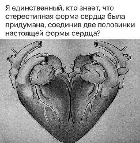 Картинка из соцсетей