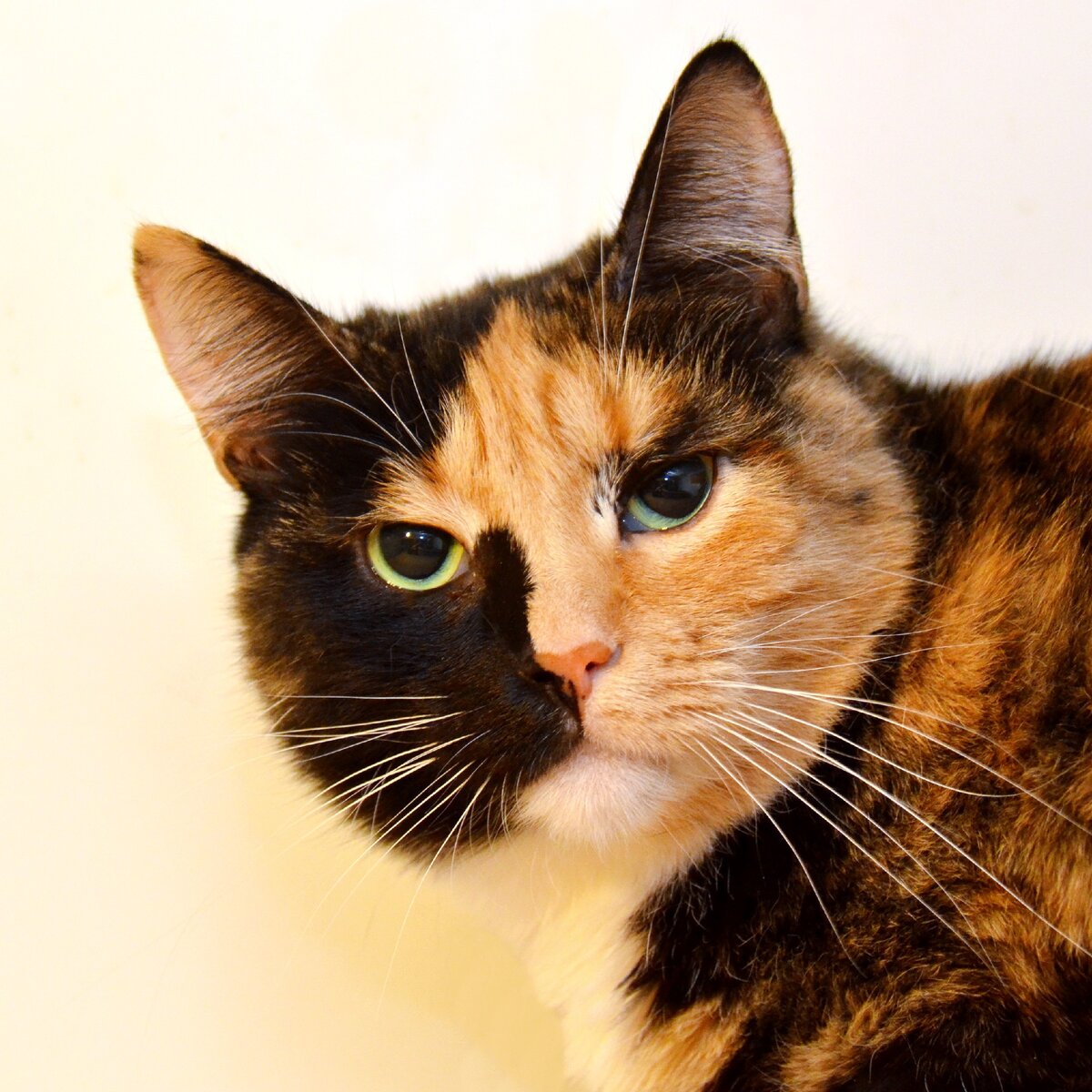 Фото из личного архива