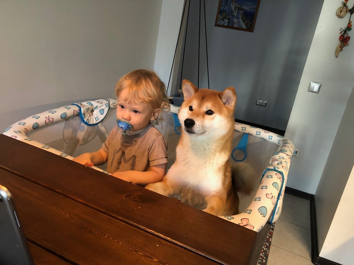 Наши два обстоятельства