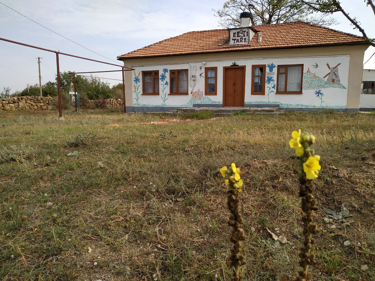 "Дом с васильками", 2020 г.