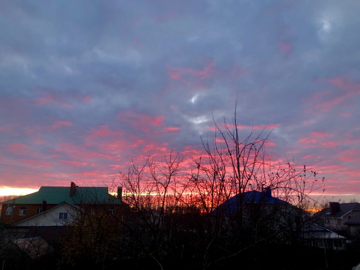 Единственное красивое в городе 
