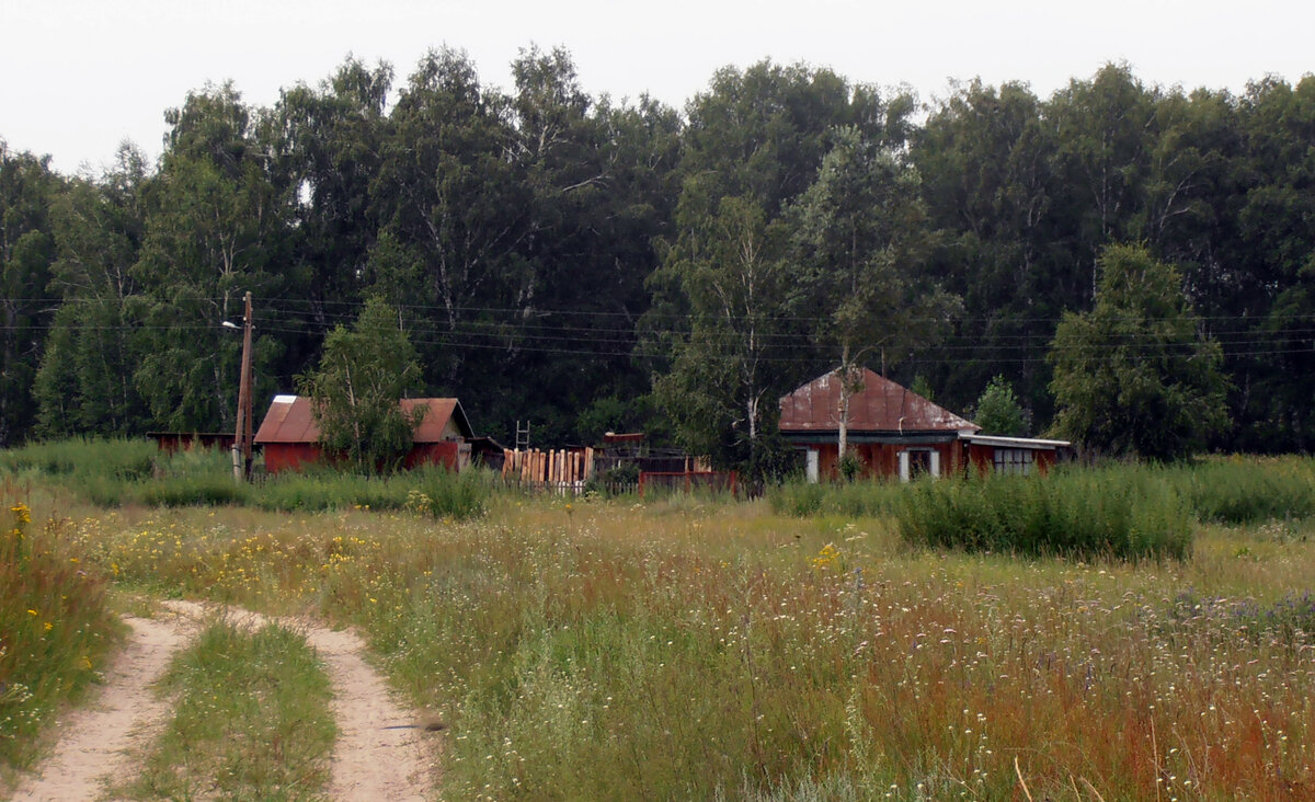 Село Рогозиха, Алтайский край. Здесь время течет по-другому. | Когда дома  не сидится... | Дзен