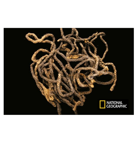 Фотография Дэвида Ковентри, National Geographic, ноябрь 2012 года. (https://www.nationalgeographic.com/magazine/2012/11/vikings-native-american/)