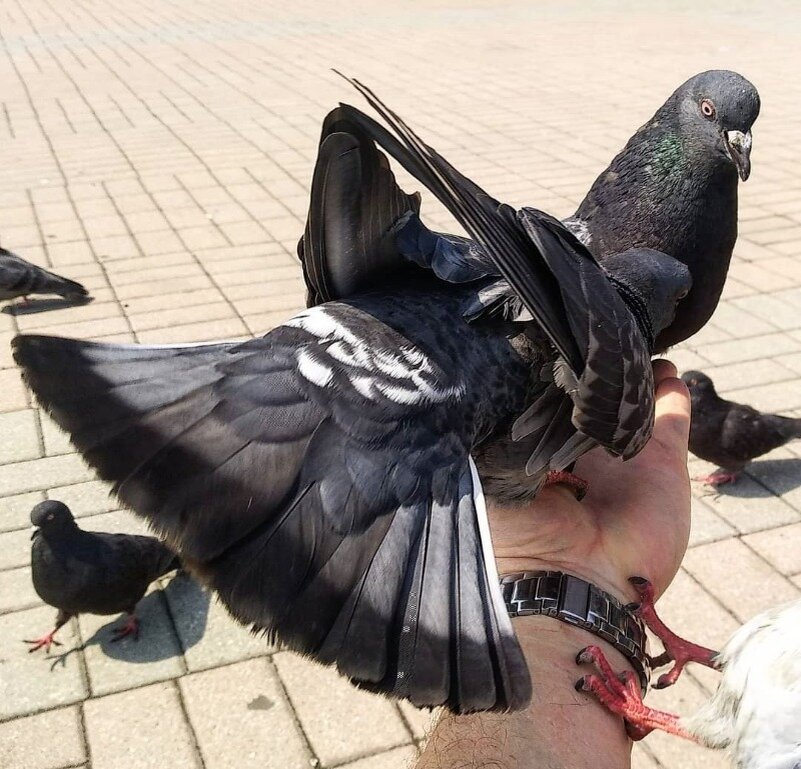 Источник фото: https://www.instagram.com/p/CN1NB-rByQx/