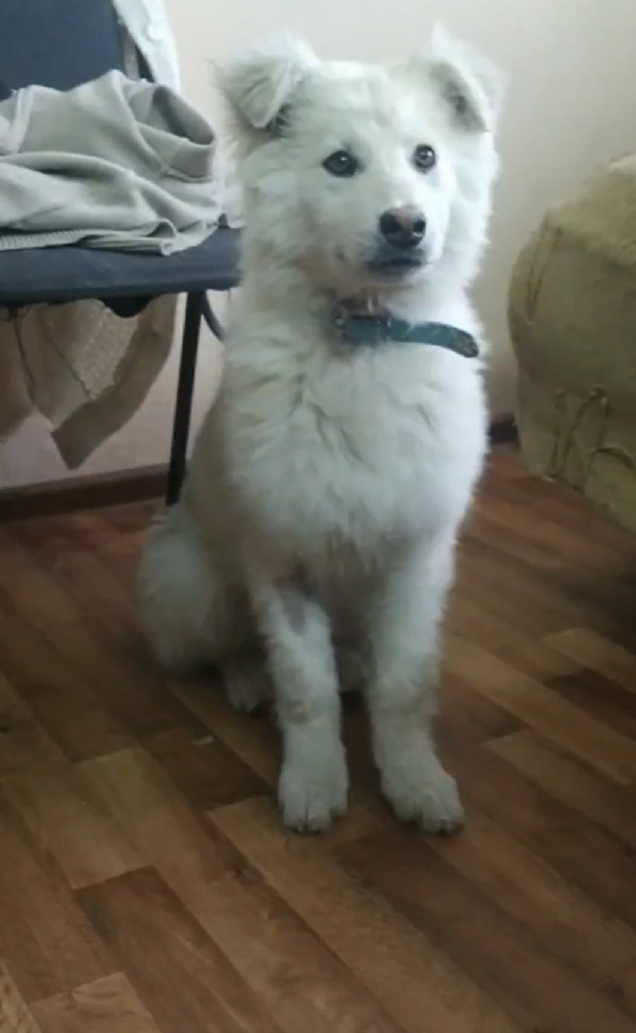 Это мы уже ангелочки)