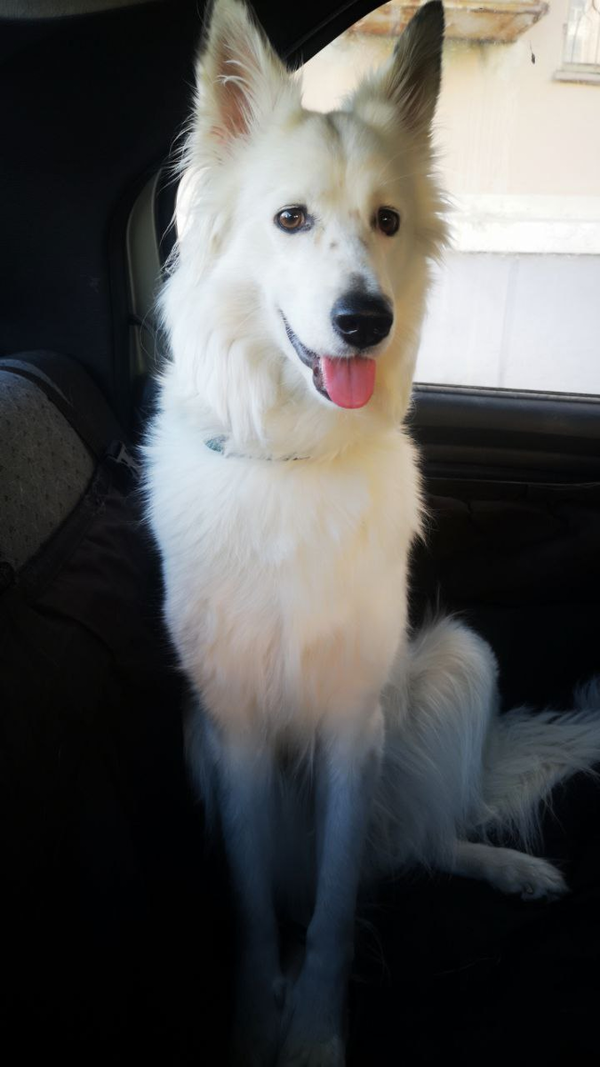 Мы с блондой за чистоту. Поэтому убираем за собой.