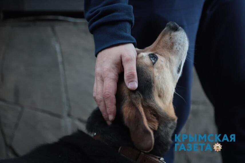 Фото: Наталья Сомова 