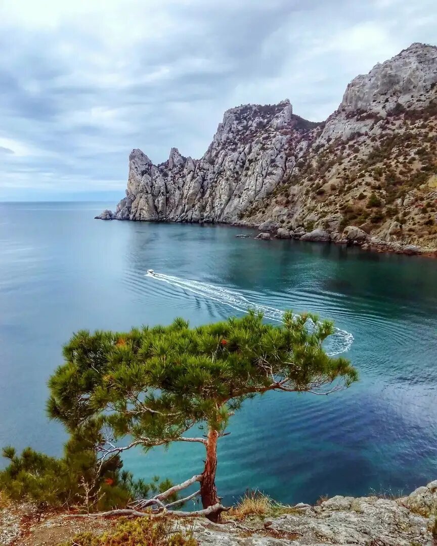 Фото Яндекс. Картинки