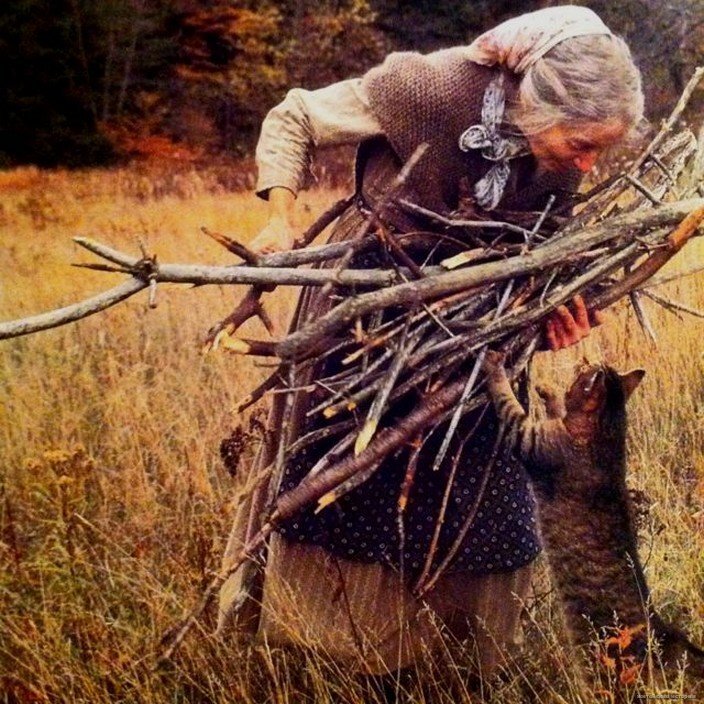 фото из открытого доступного источника сети интернет