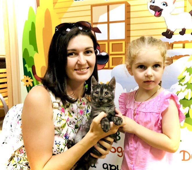 Счастливый котёнок по имени Эйс! 